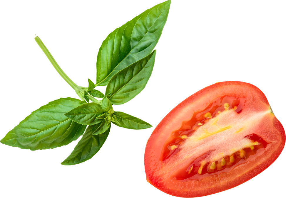 Basil and Tomato